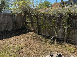 Leaf Removal by Garrett Gill for Alex W. in Norman, OK
