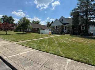 Dyanne D.'s Lawn Mowing service result