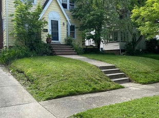 Chandra W.'s Lawn Mowing service result