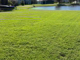 Paul I.'s Lawn Service service result