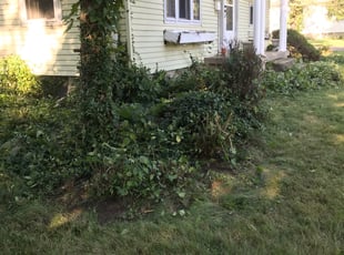 Bush Trimming by Zac Elcess for Marilyn S. in Dayton, OH