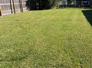 Lourd A.'s Lawn Care service result
