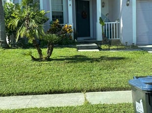 Kylie B.'s Lawn Service service result