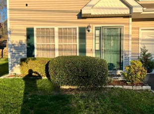Bush Trimming by Walther Muñoz for Andre G. in Bridgeport, CT