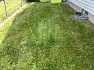 Courtney G.'s Grass Cutting service result