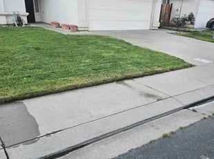 Warren W.'s Lawn Service service result