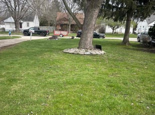 Leaf Removal by Kyle Yacko for Elizabeth P. in Roseville, MI