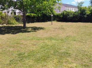 Cleanups by Amanda Shepherd for Joseph L. in Smithfield, NC