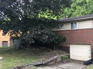 Bush Trimming by Michael Law for DUPLICATE - Patricia D. in Glenshaw, PA