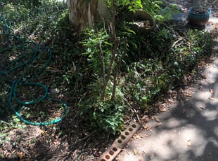 Leaf Removal by Jose Loza for Stuart H. in Austin, TX