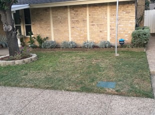 Bush Trimming by Miguel Ibarra for Darwin C. in Arlington, TX