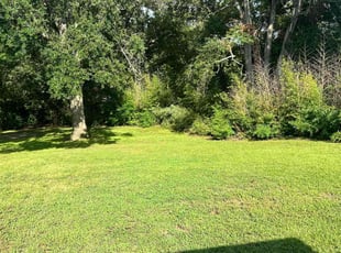 Giorgio R.'s Lawn Maintenance service result