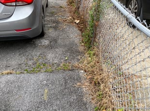 Bush Trimming by Carlos Portillo for ELLA J. in Temple Hills, MD
