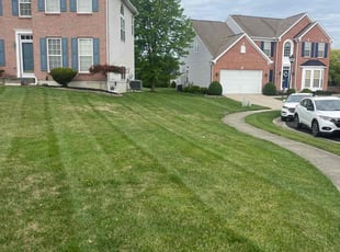 Orval H.'s Lawn Mowing Service service result