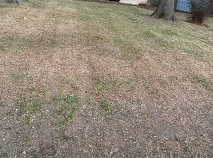 Leaf Removal by Shawn Byers for Anjelica G. in Raytown, MO