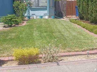 Sandra B.'s Lawn Service service result