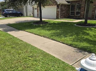 Patti R.'s Lawn Service service result
