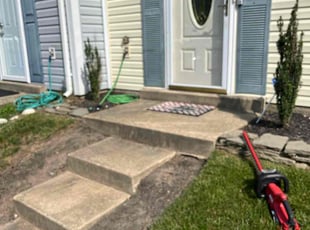 Tya E.'s Bush Trimming service result