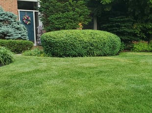 Bush Trimming by Scott Laver for Ed T. in Pickerington, OH