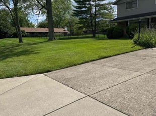 Patricia C.'s Lawn Maintenance service result