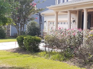 Bush Trimming by Severiano Martinez for Beth H. in Charlotte, NC
