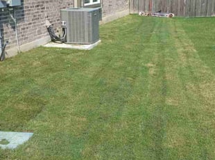 Cleanups by Johnarchie Collins for Jennifer P. in Seguin, TX
