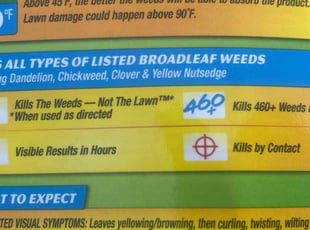 Kimberly C.'s Weeding service result