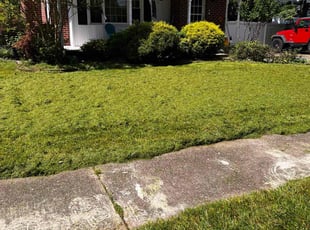 Sandra B.'s Lawn Care service result