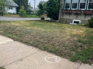 Leaf Removal by Santos Blanco for Deborah R. in Minneapolis, MN