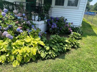 Weeding by Erica Allen for Clarissa C. in Augusta, GA