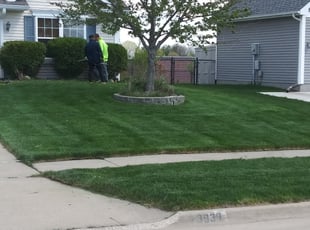 Bush Trimming by Jeremy Parmenter for Mike H. in Urbandale, IA
