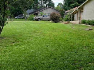 Debbie S.'s Lawn Mowing service result