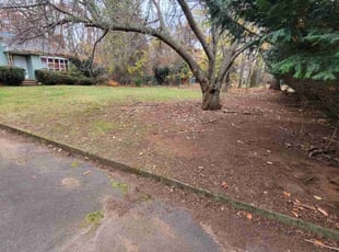 Leaf Removal by Efrain Colon for Barry W. in Middletown Township, NJ