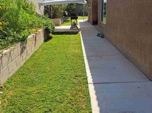 Ben H.'s Lawn Maintenance service result