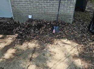 Leaf Removal by Sandro Cardoso for Alec H. in Arlington, TX