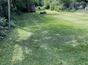 Samuel M.'s Lawn Service service result