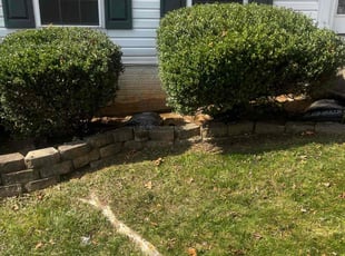 Bush Trimming by Robert Parker for Eva Z. in North East, MD