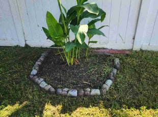 Weeding by Jay M for Sylvia D. in Norfolk, VA