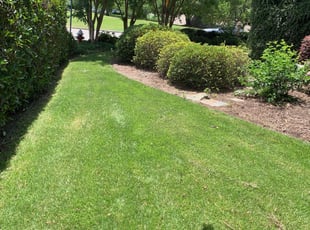 Landscaping by Taylor Dodson for Margaret T. in Virginia Beach, VA