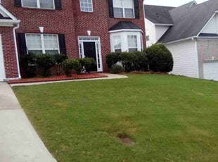 Tom N.'s Lawn Mowing service result