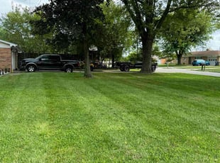 Steven C.'s Lawn Mowing service result