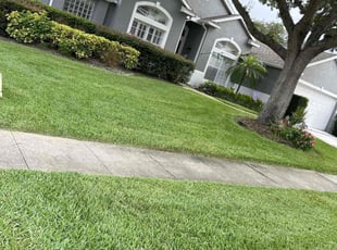 Reggie G.'s Lawn Service service result