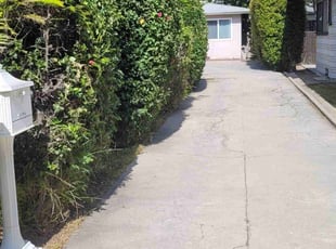 Bush Trimming by Douglas Rockford for Kevin M. in Pasadena, CA