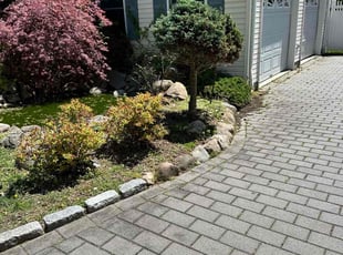 Bush Trimming by Wally Krake for Shujaat H. in Wayne, NJ