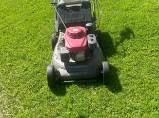 Morgan E.'s Lawn Care service result
