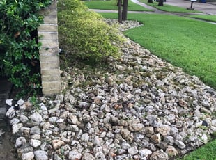 Weeding by Abraham Flores for David P. in Houston, TX