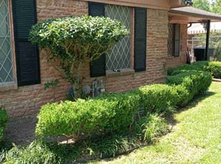 Bush Trimming by Demiteria Mattox for Constance M. in Houston, TX