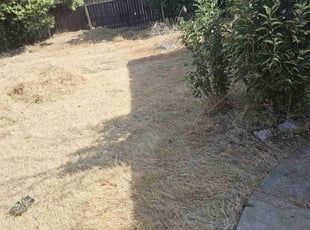 Cleanups by Juan Rodriguez for Daphne C. in Citrus Heights, CA
