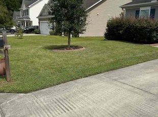Judy T.'s Yard Cutting service result
