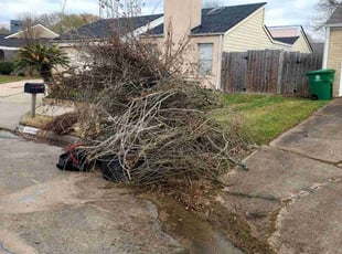 Leaf Removal by Patrick Pickens for Shahnaz N. in Houston, TX